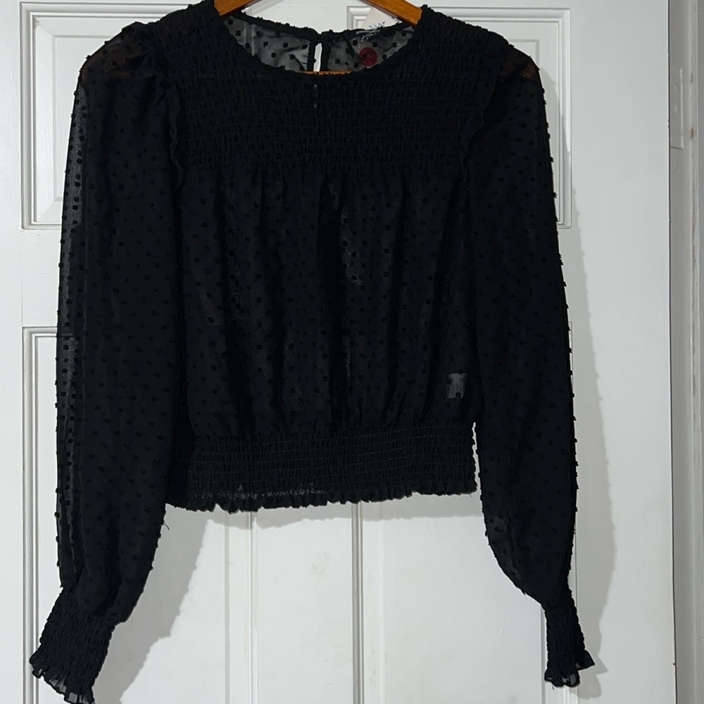 Sheer Crop  Long Sleeve Top